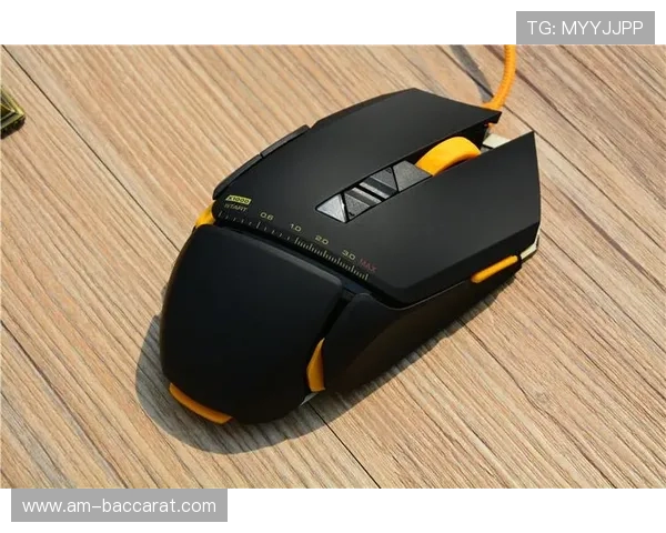 呼和浩特哪里可以买到性价比高的游戏鼠标推荐及购买渠道指南 呼和浩特哪里可以买到性价比高的游戏鼠标推荐及购买渠道指南